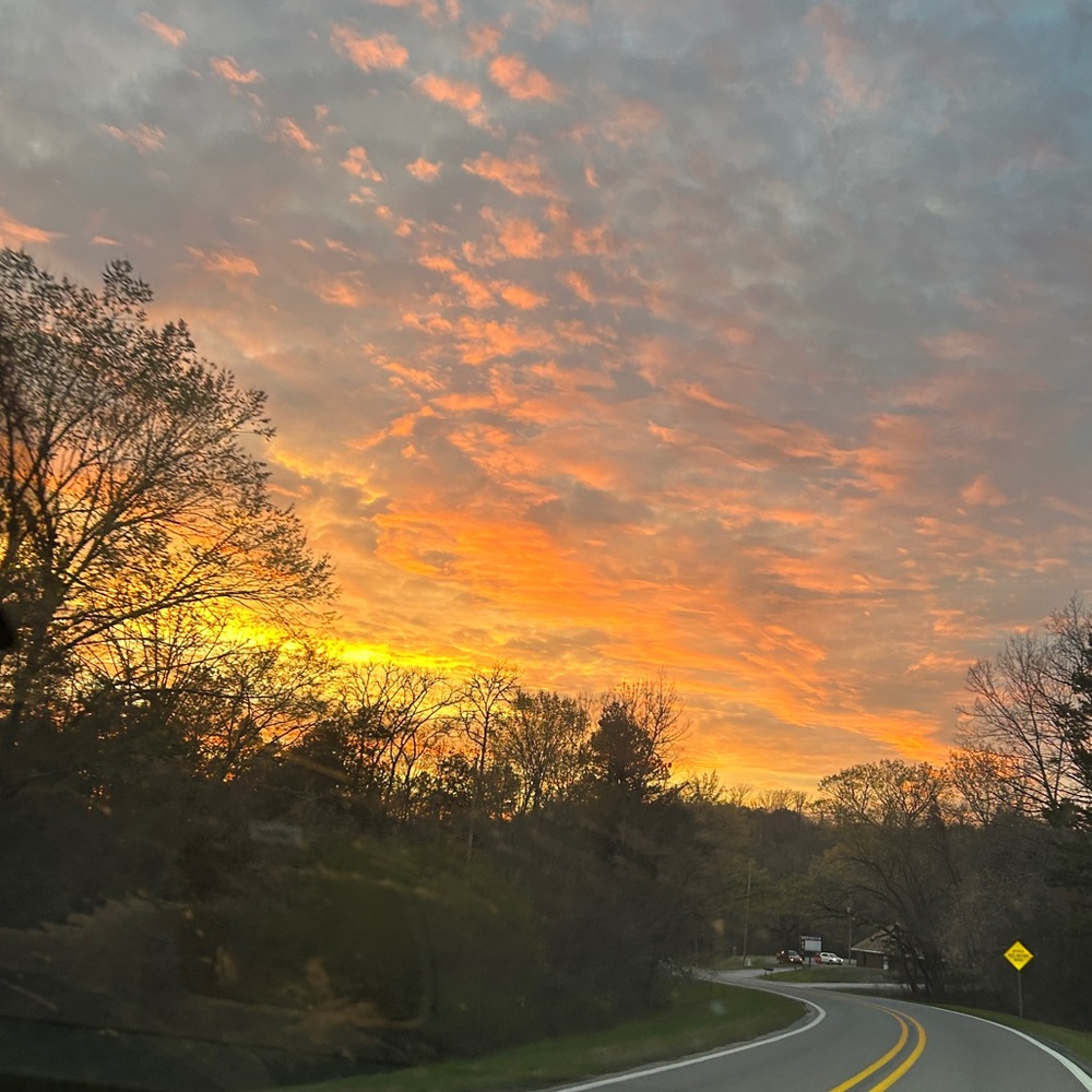 Meet your Posher, Kami